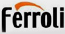 Trained Ferroli Engineer